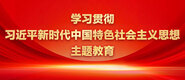 黄色操bsp学习贯彻习近平新时代中国特色社会主义思想主题教育_fororder_ad-371X160(2)